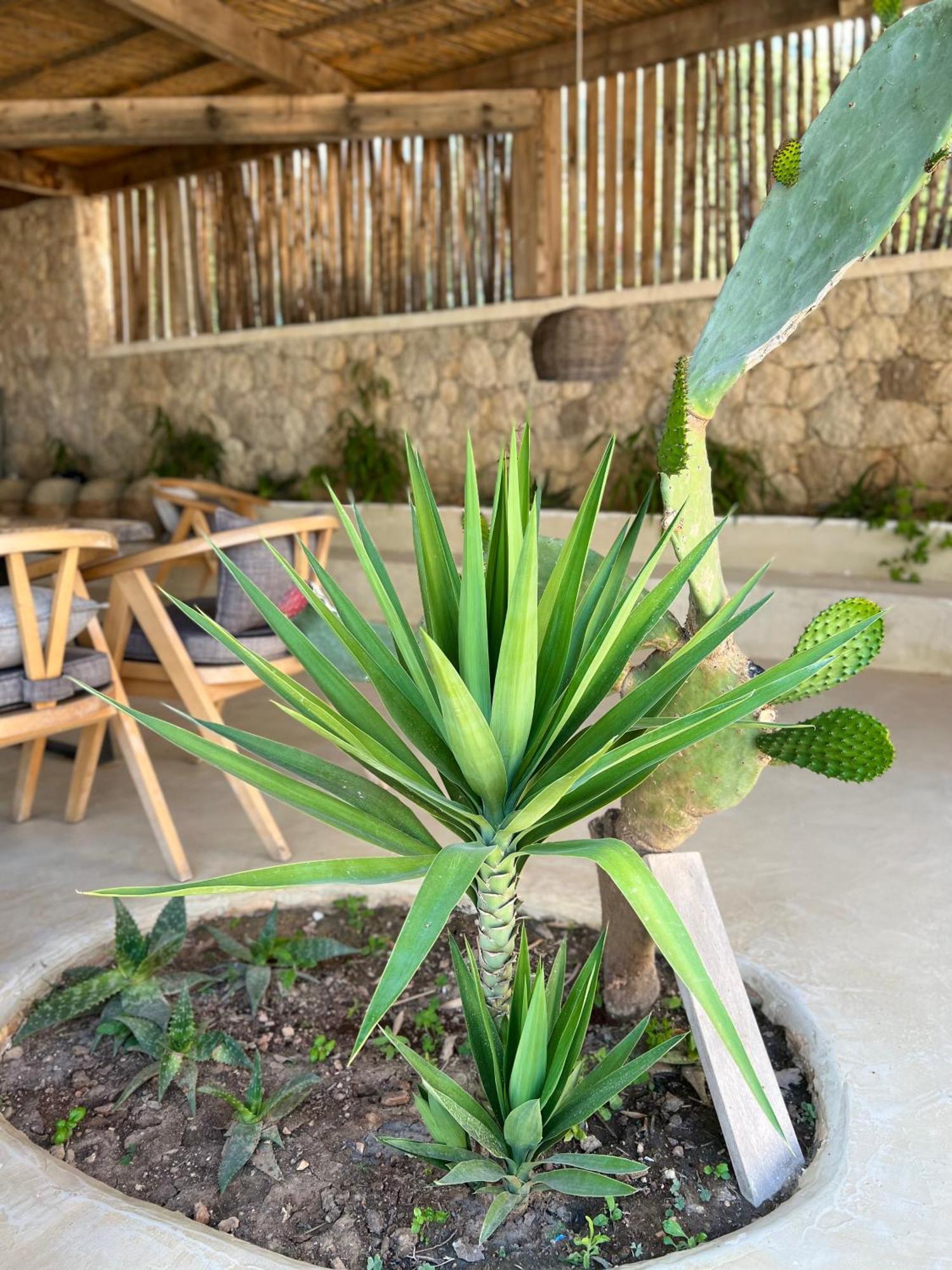 Le Rêve Boutique Hotel Dhërmi